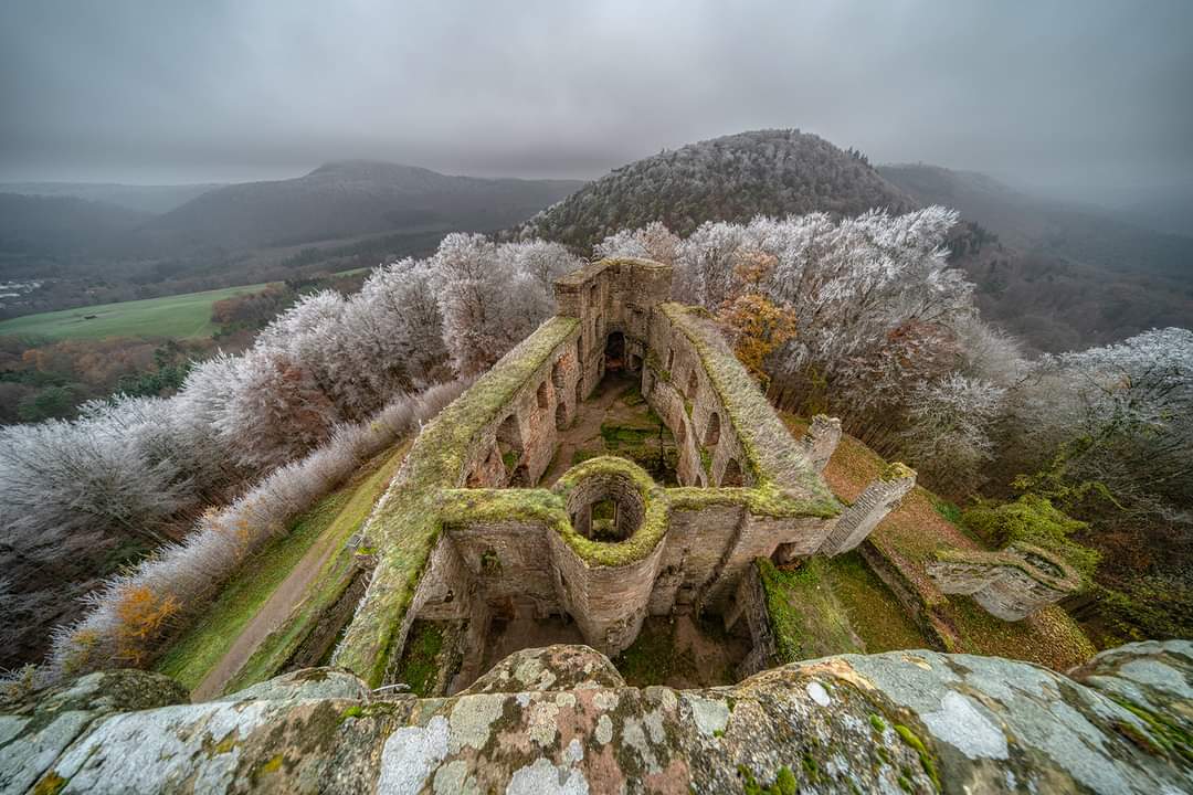 FB_IMG_1710654335548